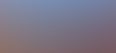 A Rainbow Lorikeet sits in a tree on a bottlebrush tree with the words sold out overlaid